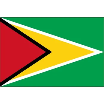 Vlajka Guyana státní vlajka 23630