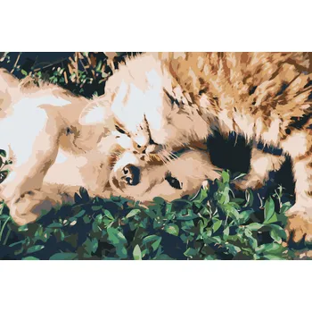 Malování podle čísel - Kamarádi Velikost: 40x60cm, Rámování: Pouze srolované plátno