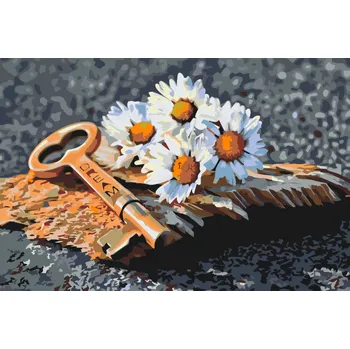 Malování podle čísel - Klíč ke splnění snů Velikost: 40x60cm, Rámování: Pouze srolované plátno