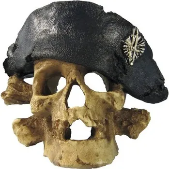 Dekorace do akvária Akvarijní dekorace pirátská lebka střední