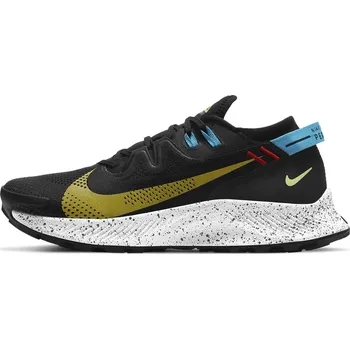 Pánská běžecká obuv NIKE Pegasus Trail 2 CK4305-001