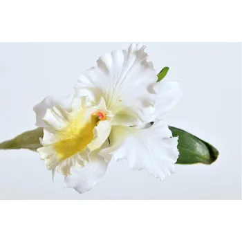 umělá květina Hitra Květina / větev orchidej CATTLEYA krémová 28cm