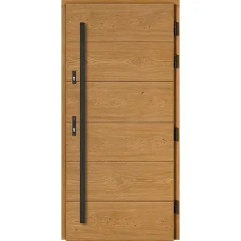 Vchodové dveře DOORSY vchodové dřevěné dveře DOORSY PREDATOR 6