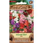 MoravoSeed Hrachor vonný pnoucí nízký…