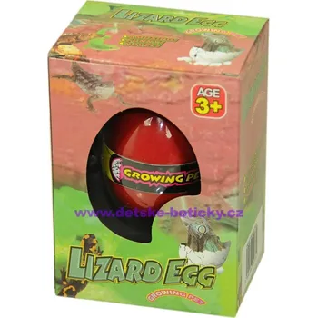Growing pet lizard egg líhnoucí vejce ještěrka