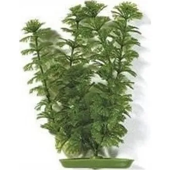 Akvarijní rostlina Rostlina Ambulia 20cm