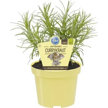 Blu Blumen Smil italský kari BIO 1 ks