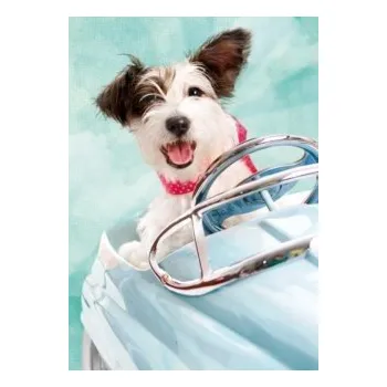 Puzzle Ravensburger puzzle Pejsek rychlá jízda 193288 1000 dílků