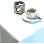 Teflonový ubrus 3018 bílá STANDARD 120x120 cm