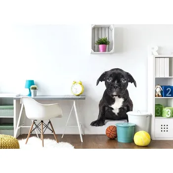 Samolepící dekorace Pastelowe Love Nálepka na zeď - zvířátka - štěňátko Velikost: malá