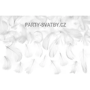 Stuha Peří bílá 3gr.