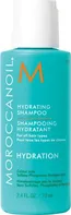 Moroccanoil Hydration hydratační šampon pro všechny typy vlasů