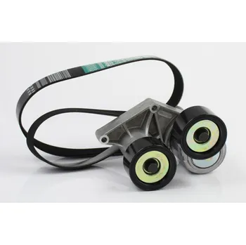 Sada žebrovaných klínových řemenů DAF 1896759