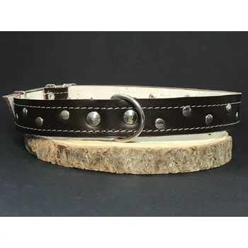 Obojek pro psa Palkar zdobený obojek z kůže hlazenice pro psy 65 cm x 26 mm hnědý (Palkar zdobený obojek z kůže hlazenice pro psy 65 cm x 26 mm hnědý)