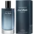 Pánský parfém Davidoff Cool Water M EDP
