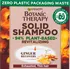 Šampon Garnier Botanic Therapy Ginger Recovery Solid Shampoo revitalizační tuhý šampon pro slabé vlasy 60 g