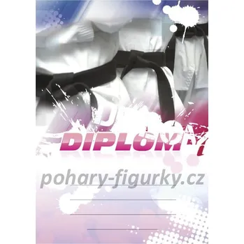 Diplom bojové sporty 6658