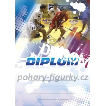 Diplom florbal 6616