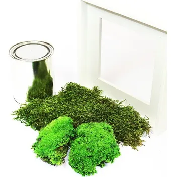 Obraz Gardners Mechový obraz "Vyrob si sám" 22x22 cm z kopečkového mechu, bílá