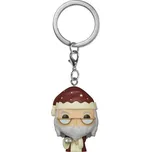 Funk POP! Keychain Harry Potter