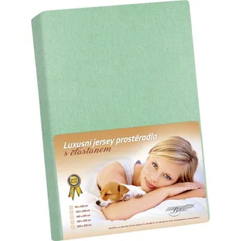 Prostěradlo Bellatex Prostěradlo jersey s elastanem 180x200 cm sv.zelená