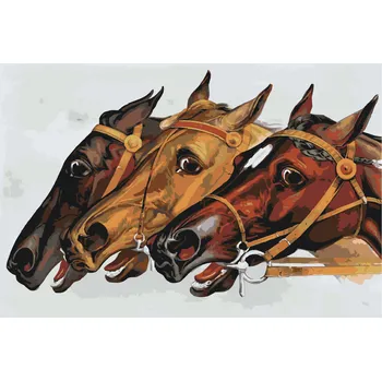 Malování podle čísel - Závodní koně Velikost: 40x60cm, Rámování: Pouze srolované plátno