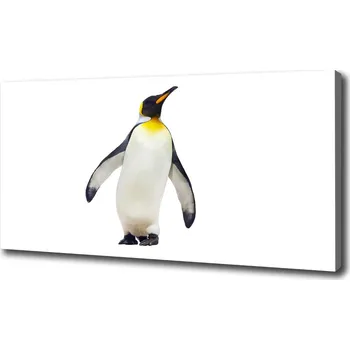 Obraz Foto obraz na plátně do obýváku Tučňák