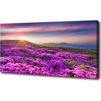 Obraz Foto obraz na plátně do obýváku Květiny v horách