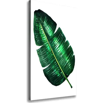 Obraz Vertikální Foto obraz na plátně List banánovníku