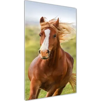 Obraz Foto obraz akrylový do obýváku vertikální Kůň v poklusu