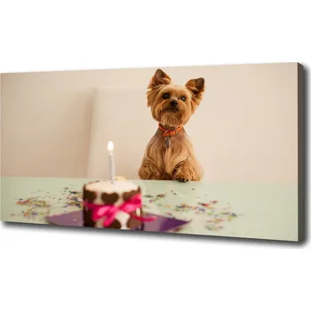 Obraz Foto obraz na plátně Pes s dortem