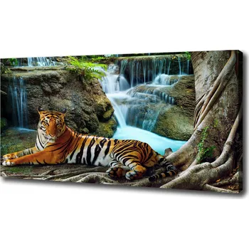 Obraz Foto obraz na plátně Tygr vodopád