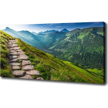 Obraz Foto obraz na plátně Stezka v Tatrách