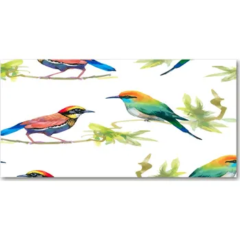 Obraz Foto-obrah sklo tvrzené Exotičtí ptáci