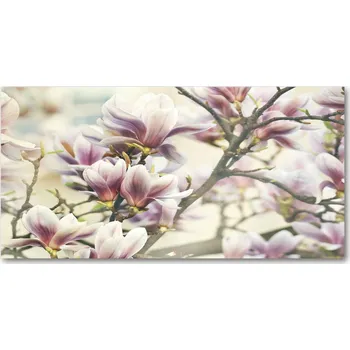 Obraz Foto obraz skleněný horizontální Magnólie