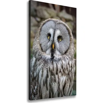Obraz Vertikální Foto obraz tištěný na plátně Sova