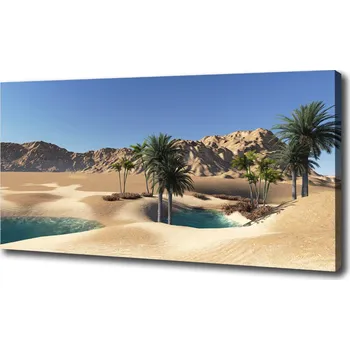 Obraz Moderní fotoobraz canvas na rámu Oáza