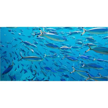 Obraz Foto obraz skleněný horizontální Korálové ryby