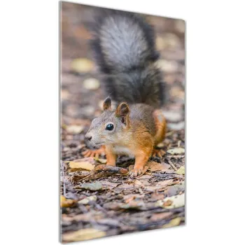 Obraz Vertikální Fotoobraz na skle Veverka v lese