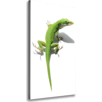 Obraz Vertikální Foto obraz na plátně Zelená ještěrka
