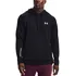 Pánská mikina Under Armour Terry Hoodie 1366259-001