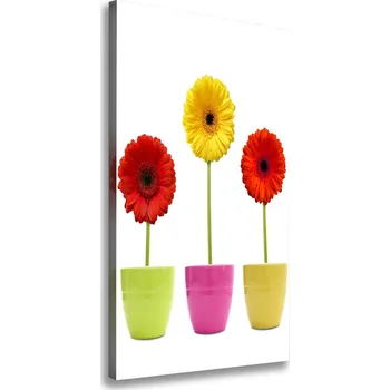 Obraz Vertikální Foto obraz na plátně Barevné gerbery