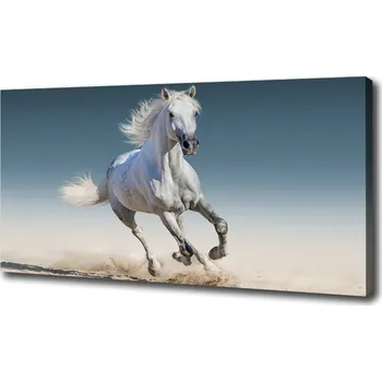 Obraz WallMuralia.cz oc-95257889 120 x 80 cm Bílý kůň ve cvalu