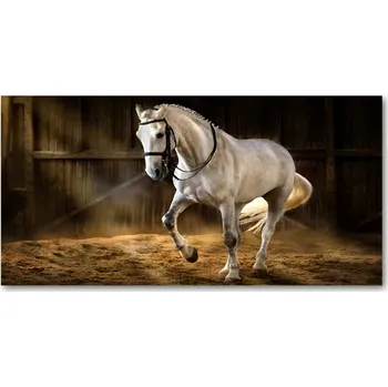 Obraz Moderní foto obraz na stěnu Bílý kůň ve stáji