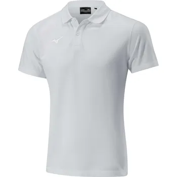 Pánské tričko Pánské tričko Mizuno Shizuoka Free Time Polo M / Grey Velikost: 3XL