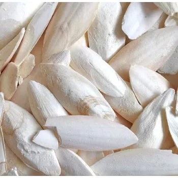 Pro ptáka Sépiové kosti 250g