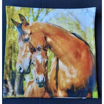 Povlak na dekorativní polštářek Povlak na polštářek Kobyla a hříbě