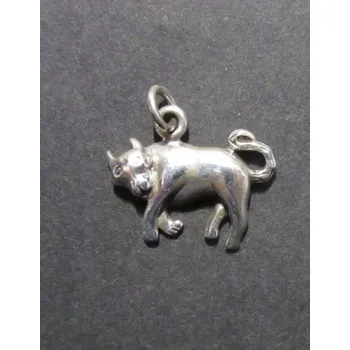 Přívěsek Puma / divoká kočka - přívěsek ze stříbra