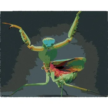 Malování podle čísel - Kudlanka nábožná, 50x40 cm, bez rámu a bez vypnutí plátna