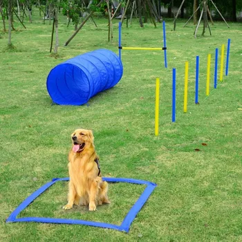 Agility překážky pro psy | sada 4 typy